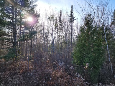 Welcome to the subdivision at Sandy Ridge. Situated in the - photo 3