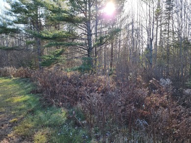 Welcome to the subdivision at Sandy Ridge. Situated in the - photo 4