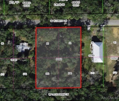 Homosassa River Lot For Sale in Homosassa Florida