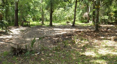 Discover the charm of Old Homosassa with this opportunity to own - photo 2