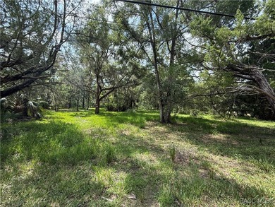 Discover the charm of Old Homosassa with this opportunity to own - photo 3