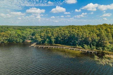 Welcome to an extraordinary opportunity in the Myrtle Point - photo 58