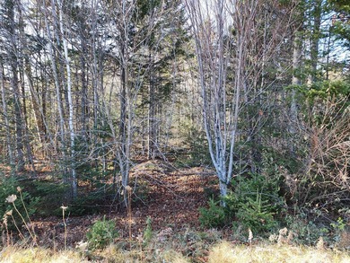 Welcome to the subdivision at Sandy Ridge. Situated in the - photo 4