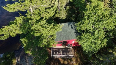 Unwind in cozy comfort inside this picturesque cabin retreat - photo 12