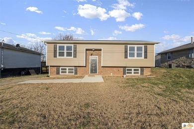 Green River Lake Home For Sale in Campbellsville Kentucky