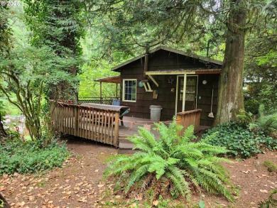 Lake Lot For Sale in Yacolt, Washington