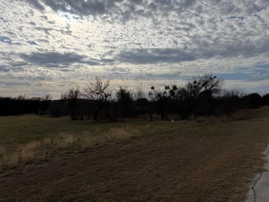 Four acre lot with a wet weather creek passing through a part of - photo 6