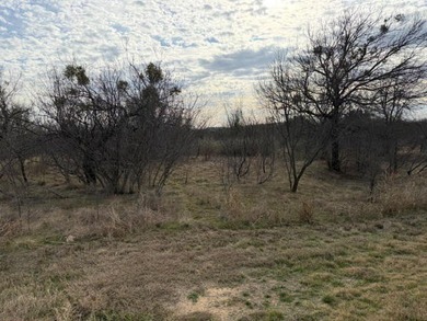 Four acre lot with a wet weather creek passing through a part of - photo 7