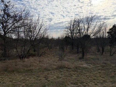 Four acre lot with a wet weather creek passing through a part of - photo 8