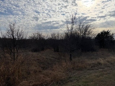 Four acre lot with a wet weather creek passing through a part of - photo 10