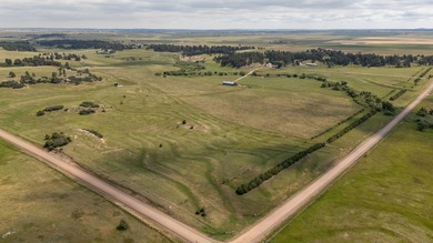 (private lake, pond, creek) Home For Sale in Elbert Colorado
