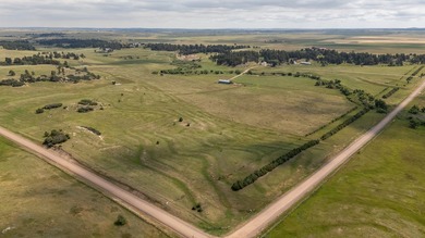 Presenting A Bar Ranch in Douglas County Colorado, a front range - photo 4