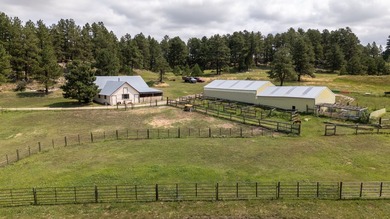Presenting A Bar Ranch in Douglas County Colorado, a front range - photo 10