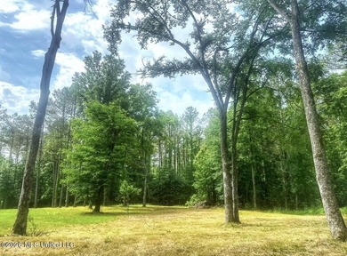This 93+/- acre Holmes County property is uniquely laid out in - photo 3