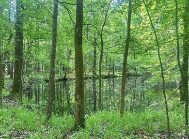 This 93+/- acre Holmes County property is uniquely laid out in - photo 10
