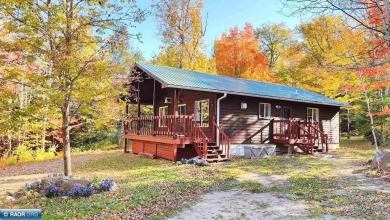 Lake Home For Sale in Orr, Minnesota