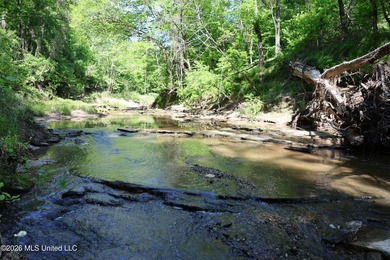 Nestled in the heart of Claiborne County, this exceptional - photo 2