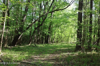 Nestled in the heart of Claiborne County, this exceptional - photo 3