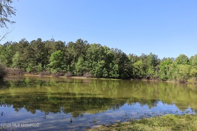 Nestled in the heart of Claiborne County, this exceptional - photo 4