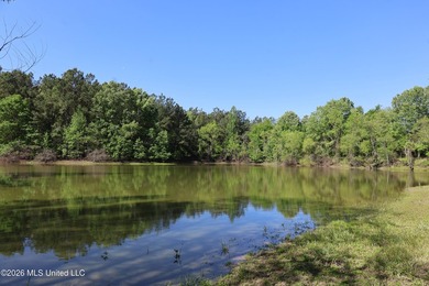 Nestled in the heart of Claiborne County, this exceptional - photo 5