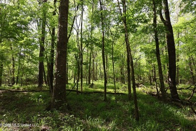 Nestled in the heart of Claiborne County, this exceptional - photo 6