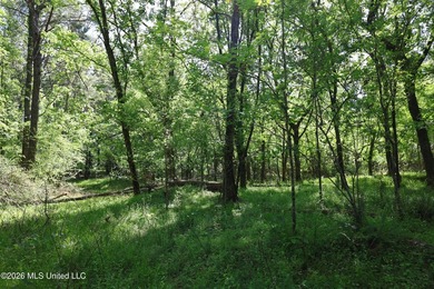 Nestled in the heart of Claiborne County, this exceptional - photo 7