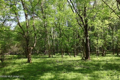 Nestled in the heart of Claiborne County, this exceptional - photo 9