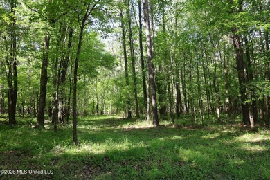 Nestled in the heart of Claiborne County, this exceptional - photo 10