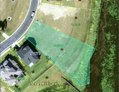 Lake Lot For Sale in Lake Alfred, Florida