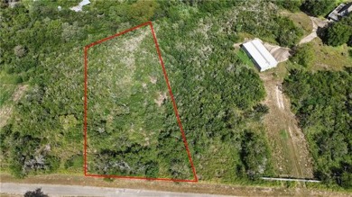 Lake Lot For Sale in Sandia, Texas