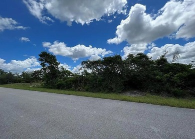 111 Marshall Ave - photo 3