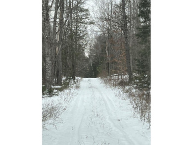 (private lake, pond, coastal) Acreage For Sale in Etna Maine