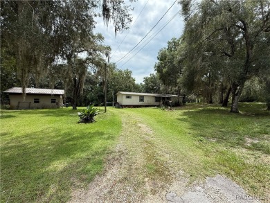 Lake Home For Sale in Floral City, Florida