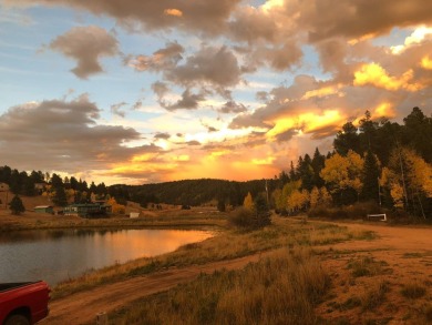 (private lake, pond, creek) Lot For Sale in Divide Colorado