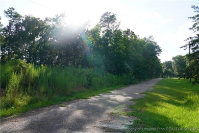 Lake Lot For Sale in Red Springs, North Carolina