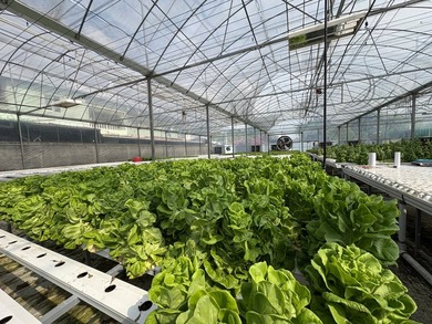 Step into the future of agriculture with this fully operational - photo 12