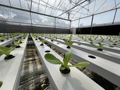 Step into the future of agriculture with this fully operational - photo 14