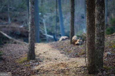 Set on 8.5 pristine acres, this extraordinary custom-built cabin