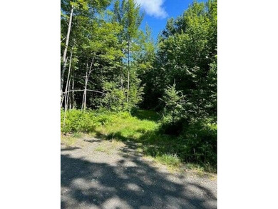 Lake Hebron Acreage For Sale in Monson Maine