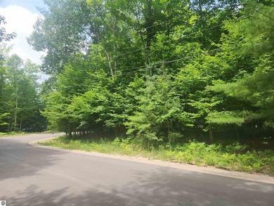 Beautiful buildable wooded corner lot just under a half acre in - photo 1