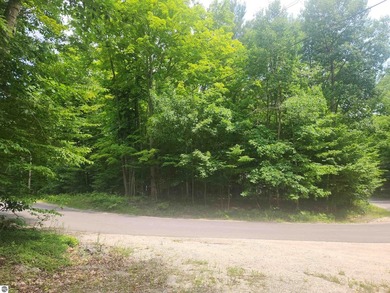 Beautiful buildable wooded corner lot just under a half acre in - photo 2