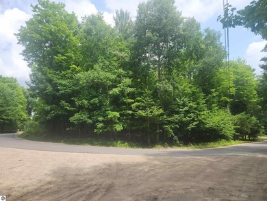 Beautiful buildable wooded corner lot just under a half acre in - photo 3