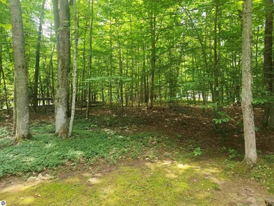 Beautiful buildable wooded corner lot just under a half acre in - photo 5