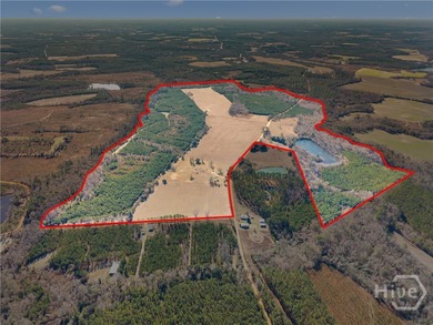 (private lake, pond, coastal) Acreage For Sale in Portal Georgia