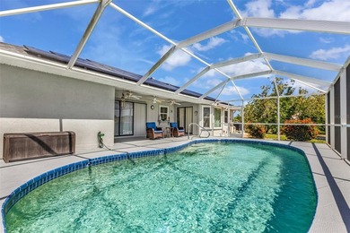 Affordable Gulf access waterfront pool home with dock and 10,000 - photo 2
