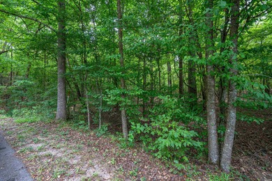 Lake Catherine Lot For Sale in Malvern Arkansas