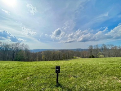 Watauga Lake Lot For Sale in Butler Tennessee
