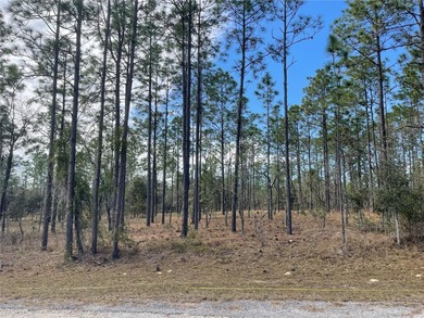Bonable Lake Lot For Sale in Dunnellon Florida
