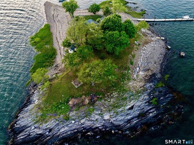 Opportunities like this are rare. Calf Pasture Island is one of - photo 2