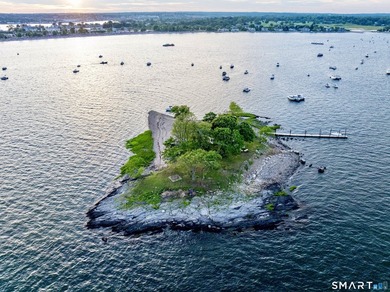 Opportunities like this are rare. Calf Pasture Island is one of - photo 3